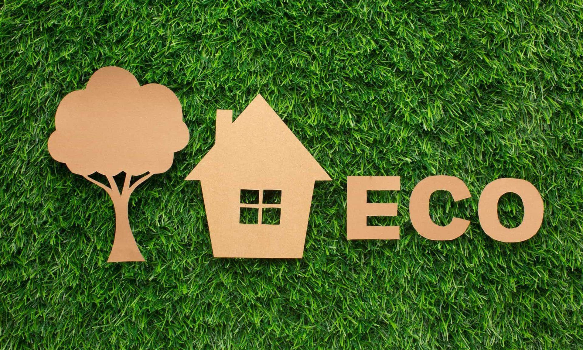 environmental impact
